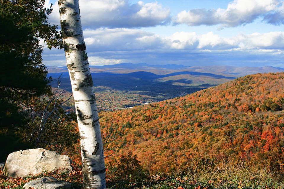 Stained glass detail